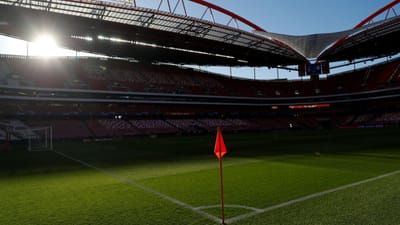 Benfica SAD diz que funções de Vieira vão ser "asseguradas nos termos previstos na lei" - TVI
