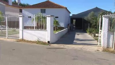 Dois homens morrem intoxicados em lagar de vinho em Oliveira do Bairro - TVI