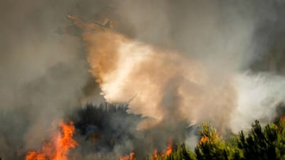 Incêndio em Moura foi combatido por meios aéreos - TVI