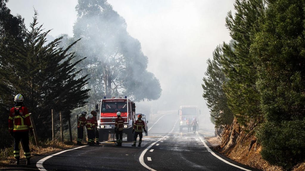 Incêndio em Sintra/Cascais