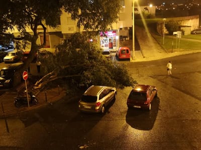 Tempestade Leslie: mais de 820 ocorrências registadas nas primeiras horas - TVI