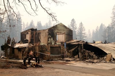 Sobe para 56 o número de mortos causados pelo incêndio na Califórnia - TVI