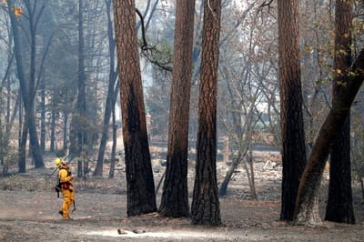 Incêndio em Los Angeles obriga cem mil pessoas a abandonar as suas casas - TVI