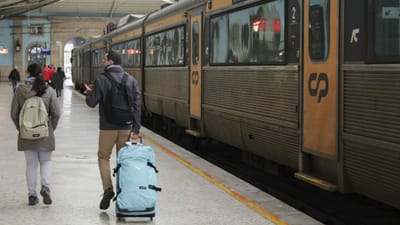 Detidas 15 pessoas com droga em comboios e estações - TVI