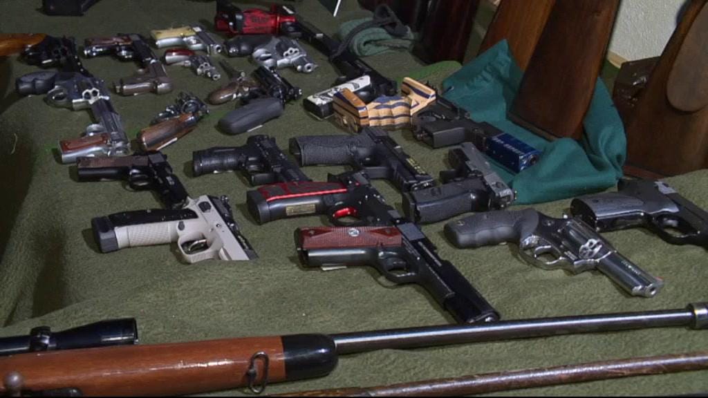 Armas, munições e granadas apreendidas a grupo em Vila Real