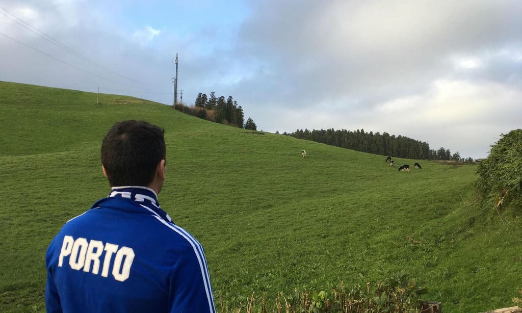 Entre as vacas e o Santa Clara-FC Porto
