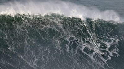 Já são conhecidas as maiores ondas do ano (a maioria surfadas no "El Dorado" da Nazaré) - TVI