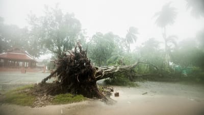 Tempestade Pabuk: 30 mil casas sem eletricidade - TVI