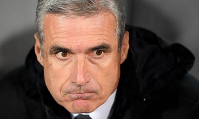 Luís Castro: «Hoje sou claramente um treinador desiludido» - TVI