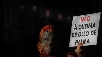 Lisboa junta-se a outras cidades europeias num protesto contra o óleo de palma - TVI