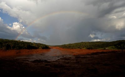 Rutura de barragem em Brumadinho contaminou pelo menos 305 quilómetros de rio - TVI