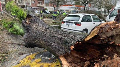 Deslizamentos de terra, quedas de árvores e inundações devido ao mau tempo - TVI