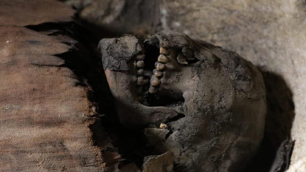 Descobertas mais de 40 múmias no Egito