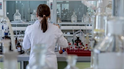 Covid-19: empresa de Cantanhede inicia testes de vacina em ratinhos - TVI