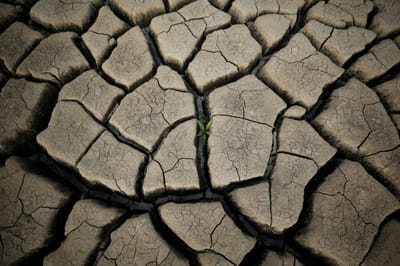 Distritos a norte em seca severa/extrema e sem "notícias animadoras" - TVI