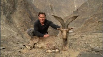 Americano paga fortuna para matar cabra rara no Paquistão - TVI