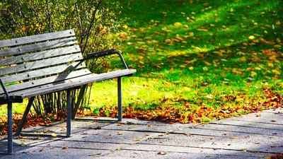 Covid-19: a partir de segunda-feira, já pode ir ao parque e sentar-se num banco de jardim - TVI