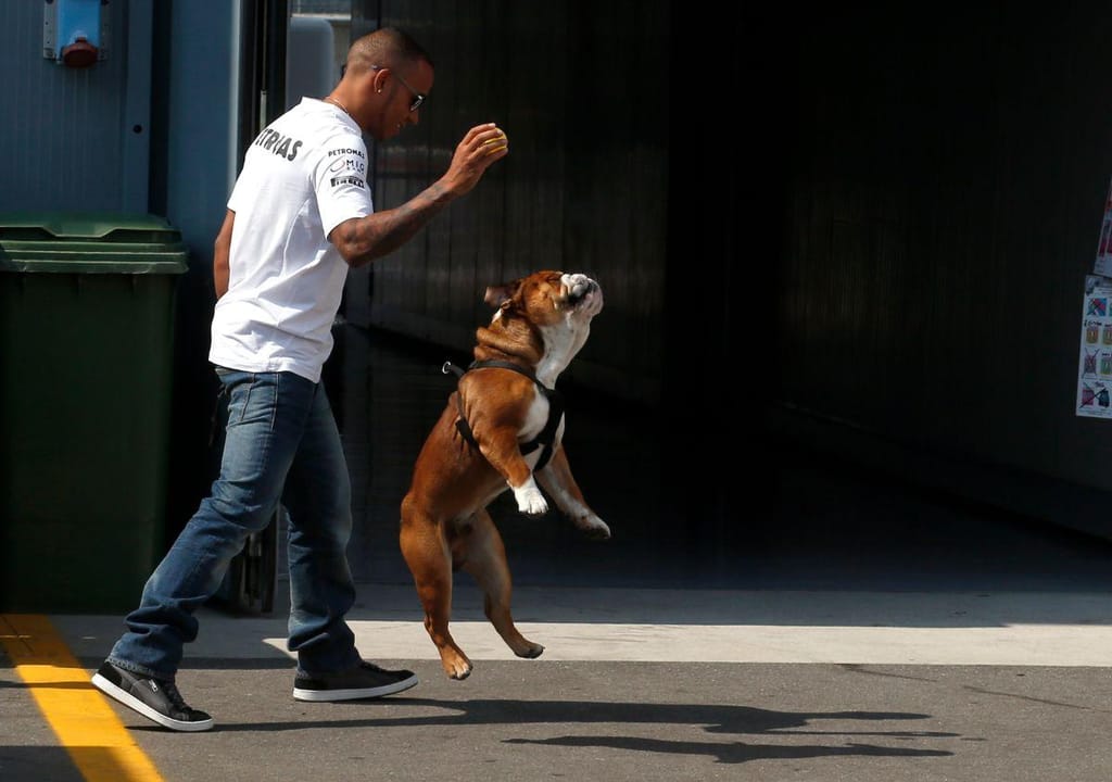 Lewis Hamilton e Roscoe (Reuters)