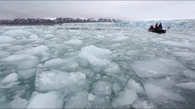 Gelo no Polo Sul vai de máximos a mínimos em poucos anos e surpreende cientistas - TVI