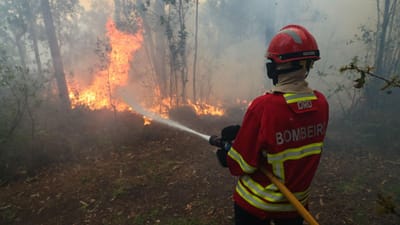 Dois concelhos em "risco máximo" de incêndio este domingo - TVI