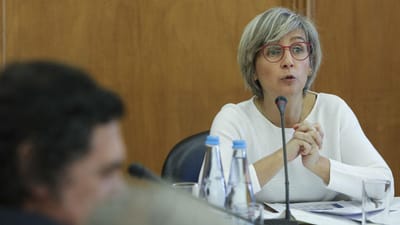 Marta Temido quer que todos os portugueses tenham um enfermeiro de família - TVI