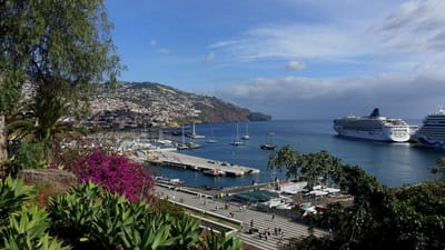 Temperaturas elevadas colocam arquipélago da Madeira sob aviso amarelo - TVI