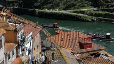 Câmara do Porto vai suspender licenças para instalação de gruas no espaço público - TVI