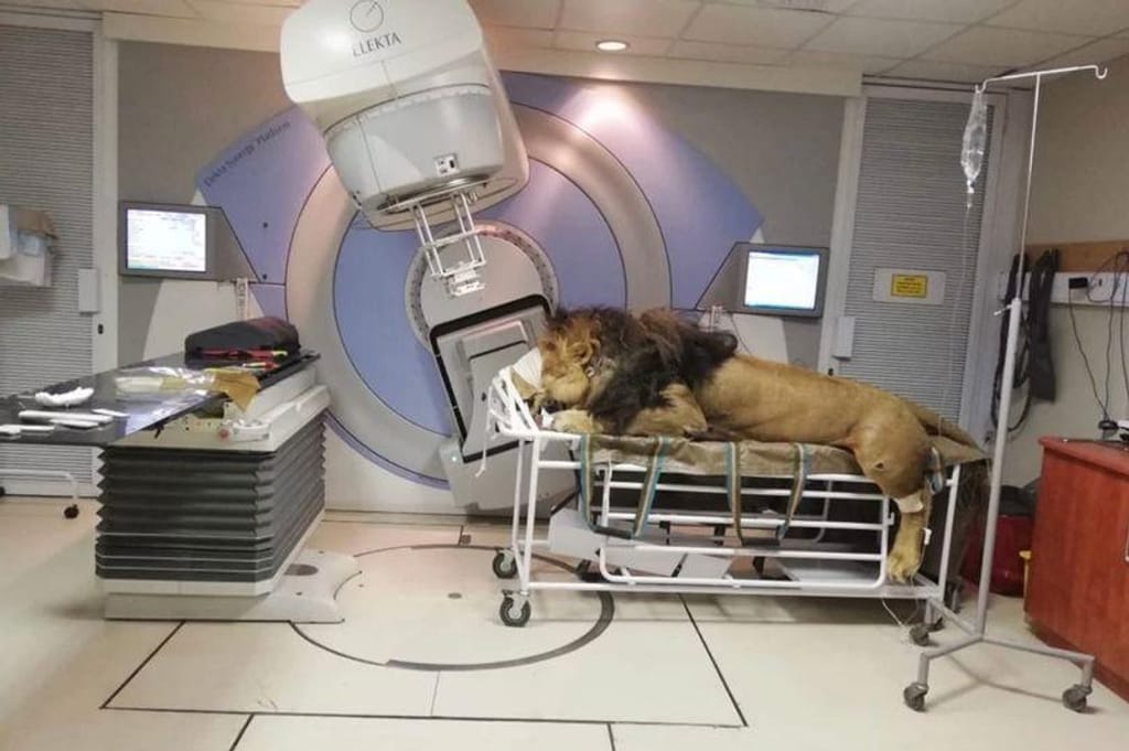 Chaos na sala do hospital para o tratamento de radioterapia
