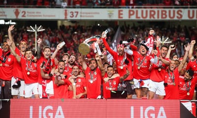 Junta de freguesia pinta passadeiras para homenagear Benfica - TVI