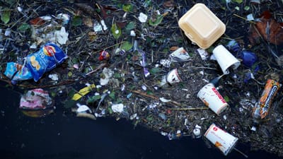 Plástico afeta bactérias que produzem cerca de 10% de oxigénio que respiramos - TVI