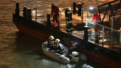 Número de mortos confirmados em naufrágio no Danúbio sobe para 13 - TVI