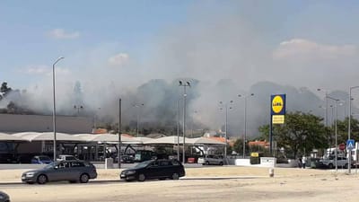 Incêndio em Coruche obrigou à evacuação de jardim de infância - TVI