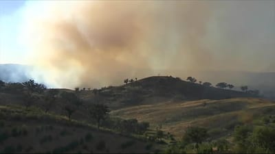 Incêndio em Ourique destruiu mais de 600 hectares - TVI