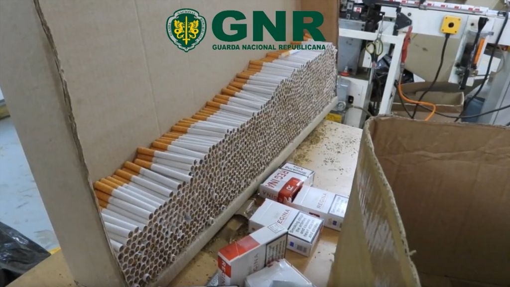 Fábrica clandestina de produção de tabaco 