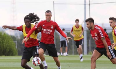 Benfica: reforços já têm número - TVI
