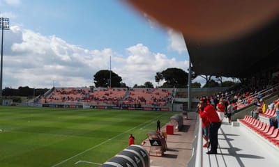 Benfica promove técnicos no futebol de formação - TVI