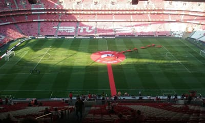 Benfica troca zona central do relvado da Luz - TVI