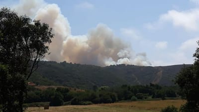 Incêndio em Aljezur: seis pessoas retiradas das habitações por precaução - TVI