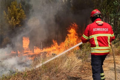 Vila de Rei: fogo com "cerca de 85% do perímetro dominado", mas vento obriga a esforços redobrados - TVI