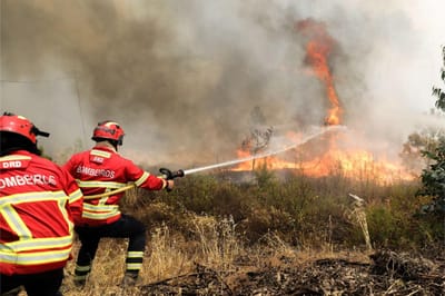 Incêndio “está estabilizado” com frentes de Vila de Rei e Mação “90% dominadas” - TVI