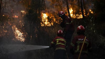 PJ detém suspeito de ter ateado sete fogos em Coimbra - TVI