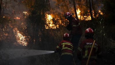 Fogo intenso em Sernancelhe preocupa municípios - TVI