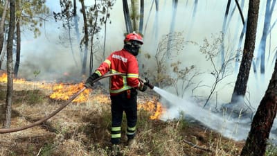 Mais de 100 operacionais e 7 meios aéreos combatem incêndio em Loulé - TVI