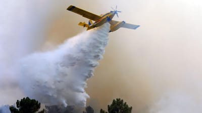 Mais de 100 bombeiros e cinco meios aéreos combatem incêndio em Tomar - TVI