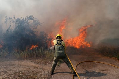 Fogo queimou entre 500 a 600 hectares nos concelhos de Alijó e Murça - TVI