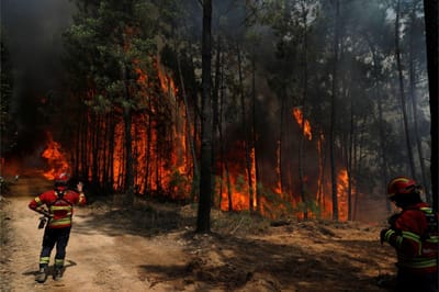 Incêndio em Gouveia combatido por mais de 120 operacionais e seis meios aéreos - TVI