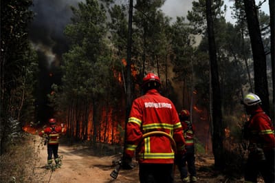 Incêndio em Oliveira de Azeméis já se encontra em resolução - TVI