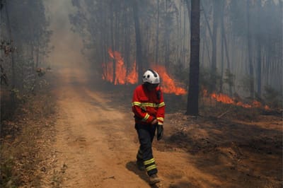 Incêndio consumiu zona de mato em Alfândega da Fé e mobilizou nove meios aéreos - TVI