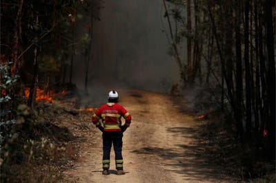 Três menores de 13 anos suspeitos de dois incêndios no Parque Natural de Sintra-Cascais - TVI