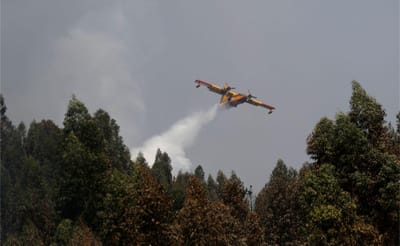 França: avião de combate aos fogos despenha-se e faz um morto - TVI